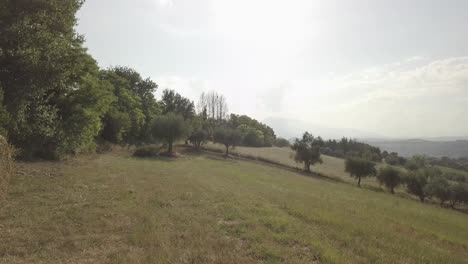 movimiento panorámico de drones 4k a partir de un campo de pacas de heno con árboles en el fondo