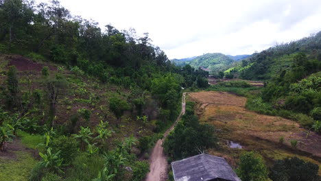 a-group-walking-along-a-dirt-road-preparing-for-a-jungle-trek