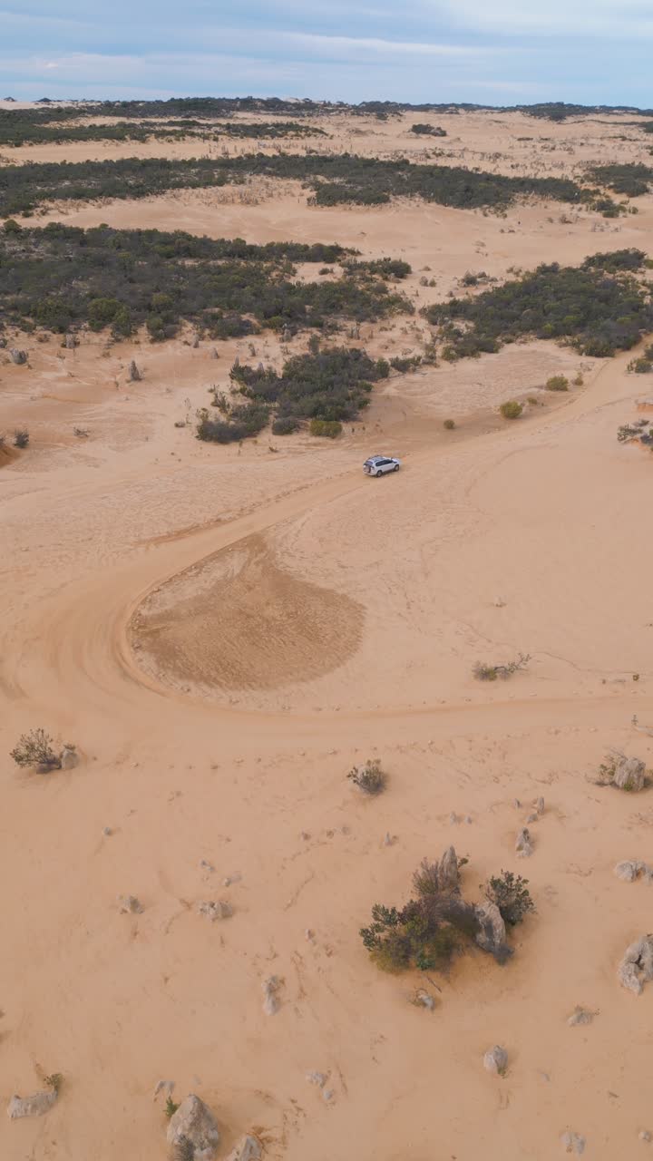 Vertical aerial footage tracking the movement of a four wheel drive vehicle in the Pinnacles Desert in Perth, Western Australia