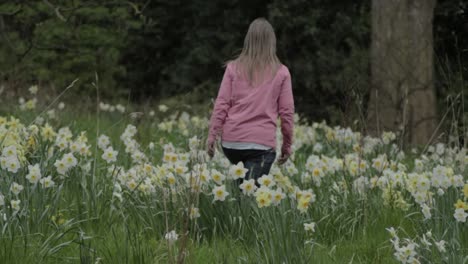 Woman-walks-through-field-of-white-daffodils