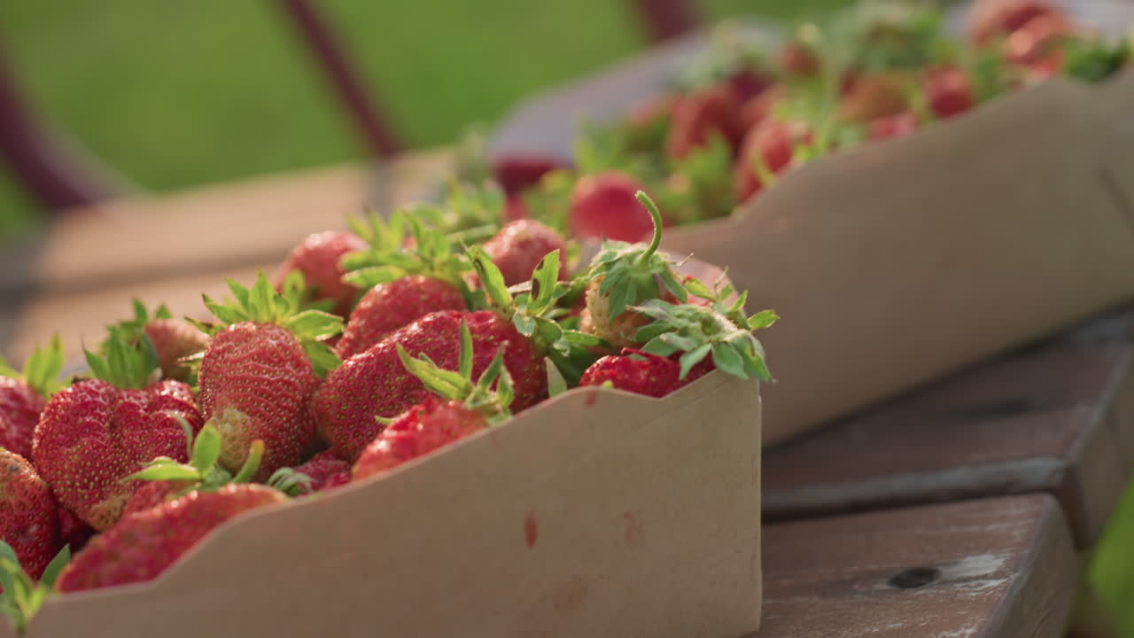 close up of two cardboard boxes overflowing with ripe strawberries resting on rustic wooden swing bench gently swaying against blurred garden background bathed in warm golden light