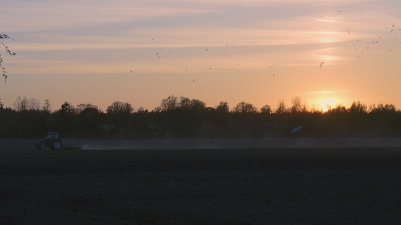 silueta de tractor arando el campo al atardecer, primavera en europa, pájaros volando
