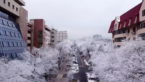 schneeweiße bäume zwischen den steinhäusern der stadt