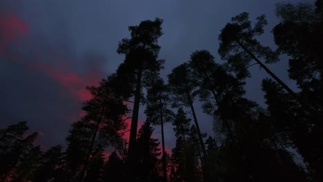 Bright-pink-stripes-appear-as-sunset-reflects-off-heavy-overcast-cloud