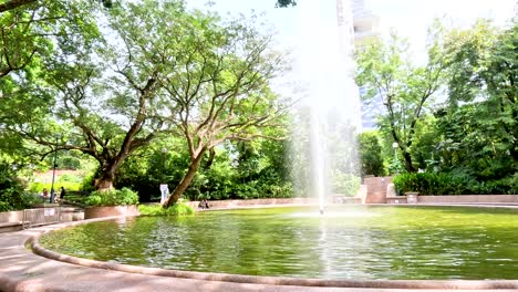 park fountain and trees