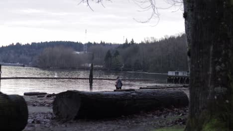 Various-shots-at-Barnet-Marine-Park-in-BC,-Canada-on-a-nice-winter-day