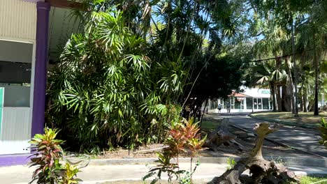 visitors explore zoo entrance and exit area