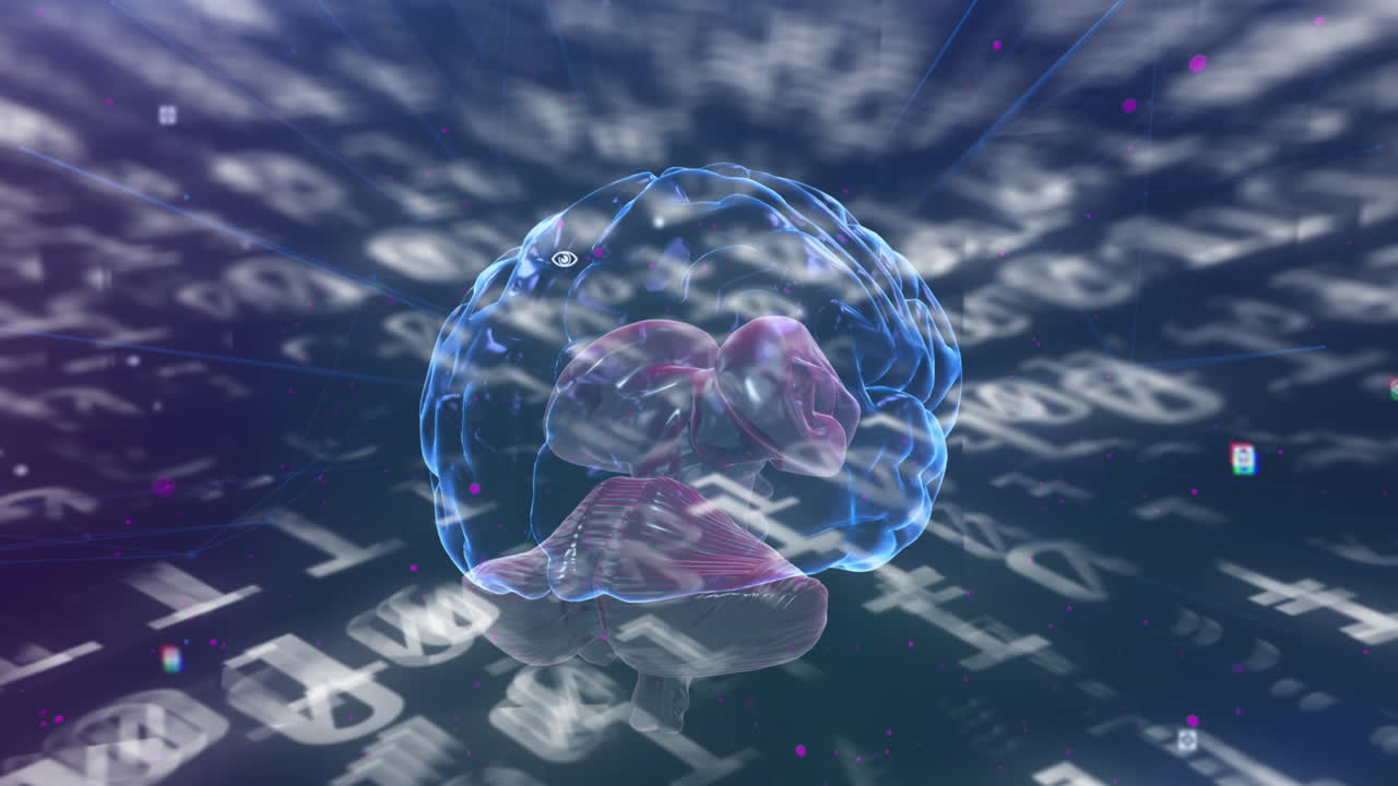 인간의 뇌가 회전함에 따라 변화하는 이진 코딩 숫자의 애니메이션