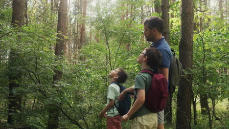 Excursión-Familiar-Al-Bosque