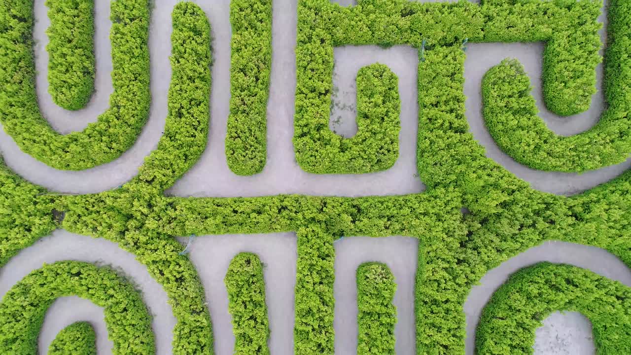 toma el zenital de drone, del laberinto de borges con gente caminando dentro de él.