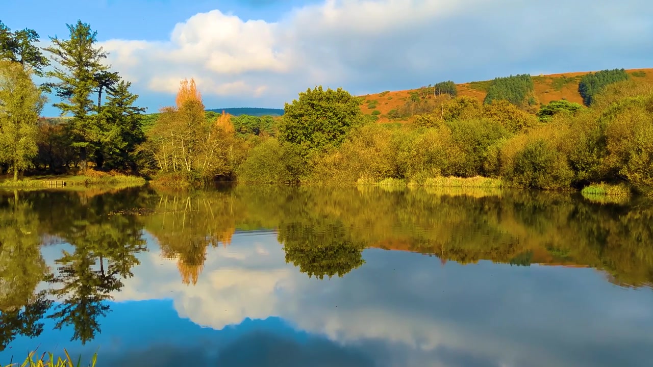 Calm Serene Lake with Trees Forest Reflecting on Water with Camera Slowly Panning. Peaceful Meditation Footage in Wales UK 4K.
