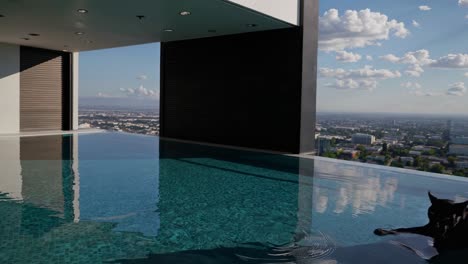 black panther in a luxury rooftop pool with city view