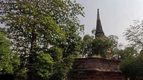 steady view of a historic pagoda surrounded by trees