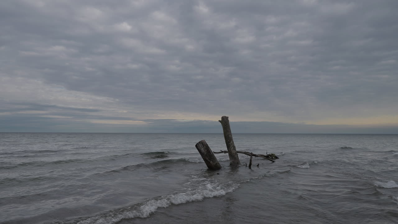 Calm, cloudy shoreline with logs emerging from the water, Lake Ontario