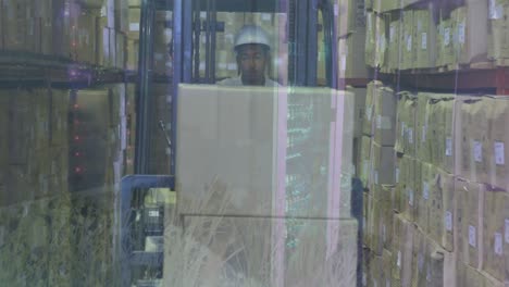 animation of lights over biracial male warehouse worker and meadow