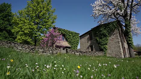 charming stone houses in a spring garden