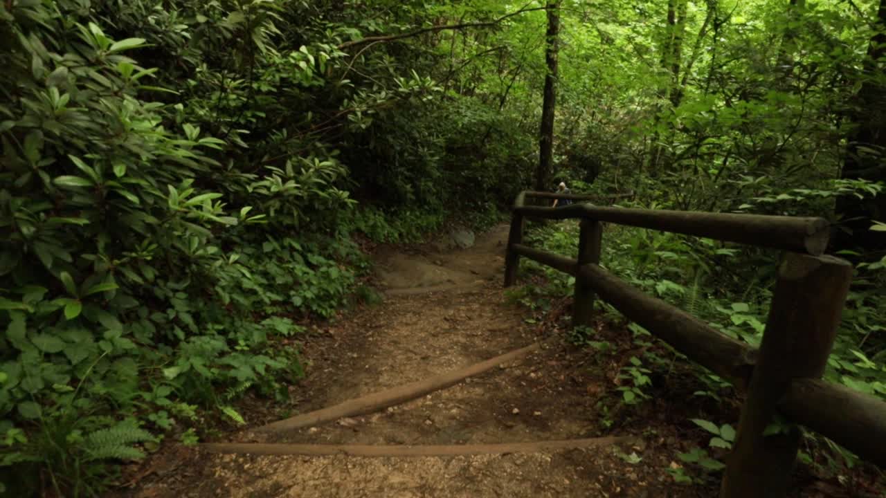 Nature Hike at Natural Bridge State Park, Kentucky