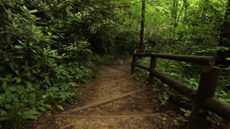 nature hike at natural bridge state park, kentucky