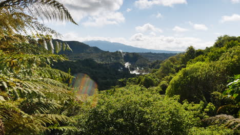 toma de carro de naturaleza idílica con especies de árboles y plantas durante el día soleado - silueta de montañas y vapor creciente de lago hirviendo en el fondo - waimangu, nueva zelanda