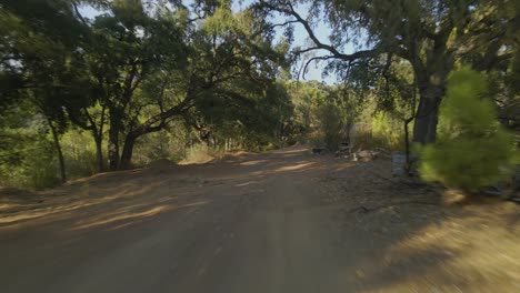 Forward-dolly-shot-between-the-trees-on-a-dirt-path