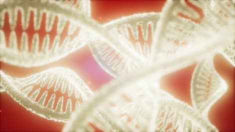 structure-of-the-DNA-double-helix-animation