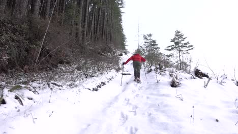 hombre subiendo con raquetas de nieve una colina empinada
