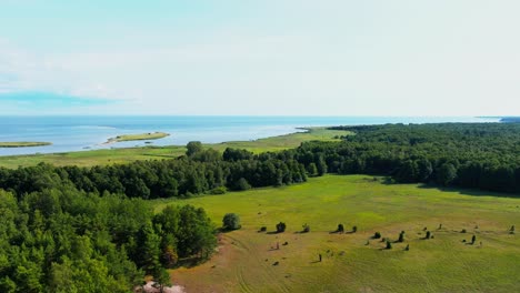flying over coastal countryside with trees and fields, islands visible in the sea.