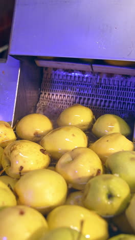 apple juice factory making. fresh farming healthy food factory. vertical video