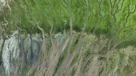 aerial view of tidal flats and marsh