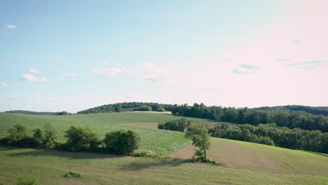 fast aerial launch and flight over gorgeous green farms and forest in the summer