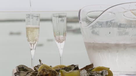 oysters and green wine glass