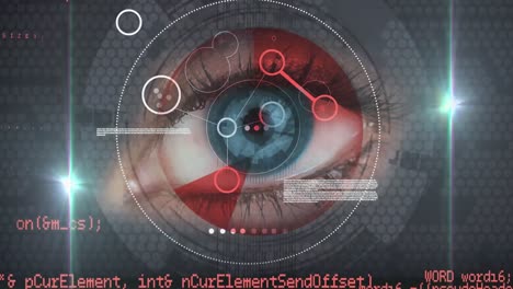 Animation of digital icons with network of connections over eye and scope scanning