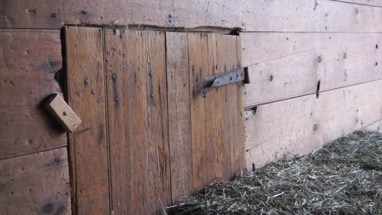 Small wooden door with cast iron hinge in 18th century barn.  Straw bales sit in front of door.