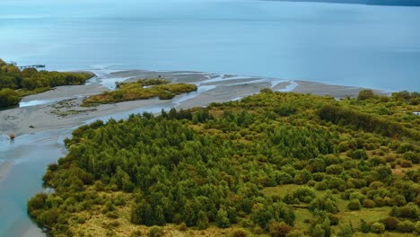 aerial establishing overview of beech forest lining glacial floodplain delta at lake wakatipu