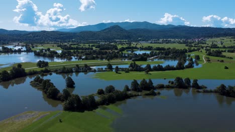 flooded valley, trees in the water, concept for climate crisis, aerial establish