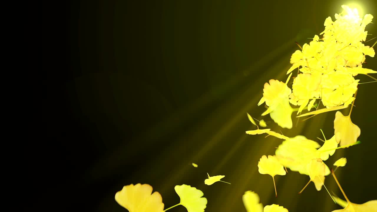 el giro de las hojas de otoño, ginkgo, animación cg, bucle
