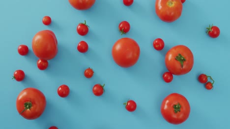 Video-Von-Frischen-Tomaten-Und-Kirschtomaten-Auf-Blauem-Hintergrund