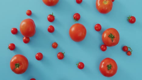 video de tomates frescos y tomates cereza sobre un fondo azul