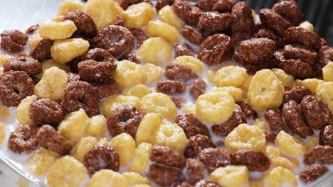 breakfast chocolate corn cereal in a bowl with milk.