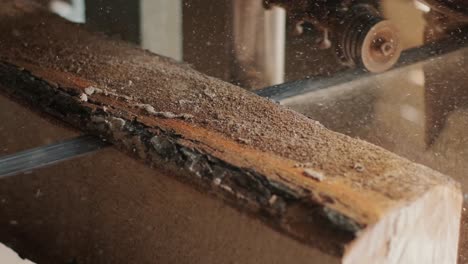 closeup of cut pine tree log on sawing machine at wood production factory. timber material processing and cutting at sawmill. manufacturing process at lumber mill. sawing woods on power machine