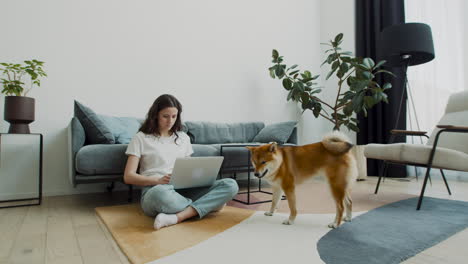 Süßes-Mädchen-Füttert-Ihren-Hund,-Während-Sie-Zu-Hause-An-Ihrem-Laptop-Arbeitet