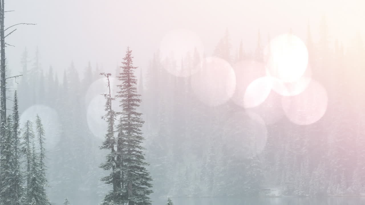 눈으로  ⁇ 인 산과 소나무와 함께 밝은 반점이 있는 겨울 풍경 풍경의 애니메이션