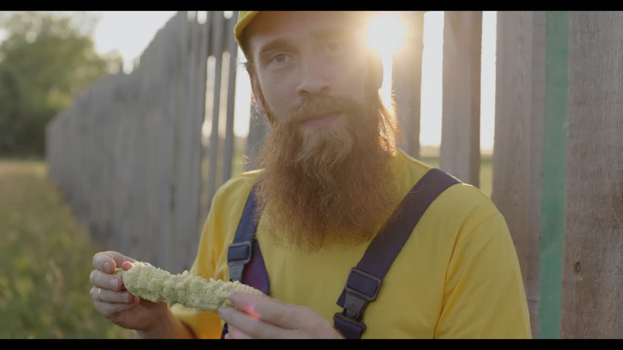 Man Eating Corn in a Field