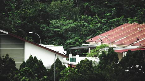 Peaceful-and-quiet-residential-area_windy_morning-view_50fps