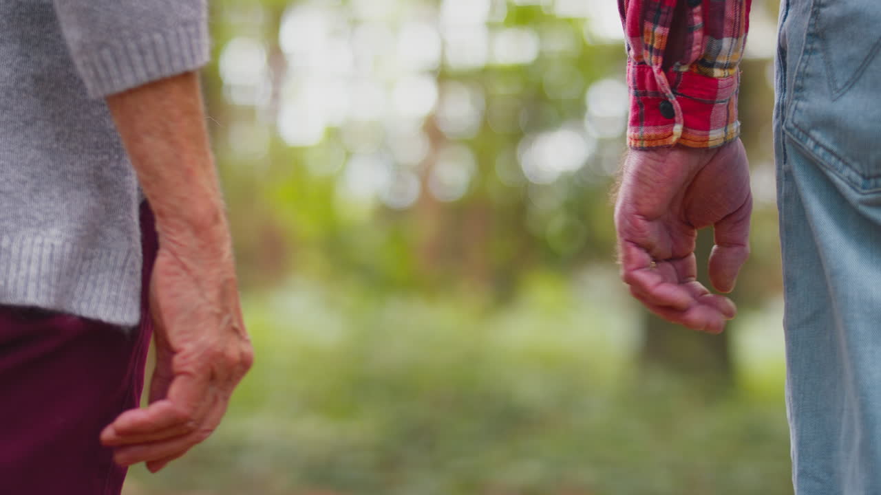 un primer plano de una pareja de ancianos jubilados que se toman de la mano caminando juntos por el bosque.