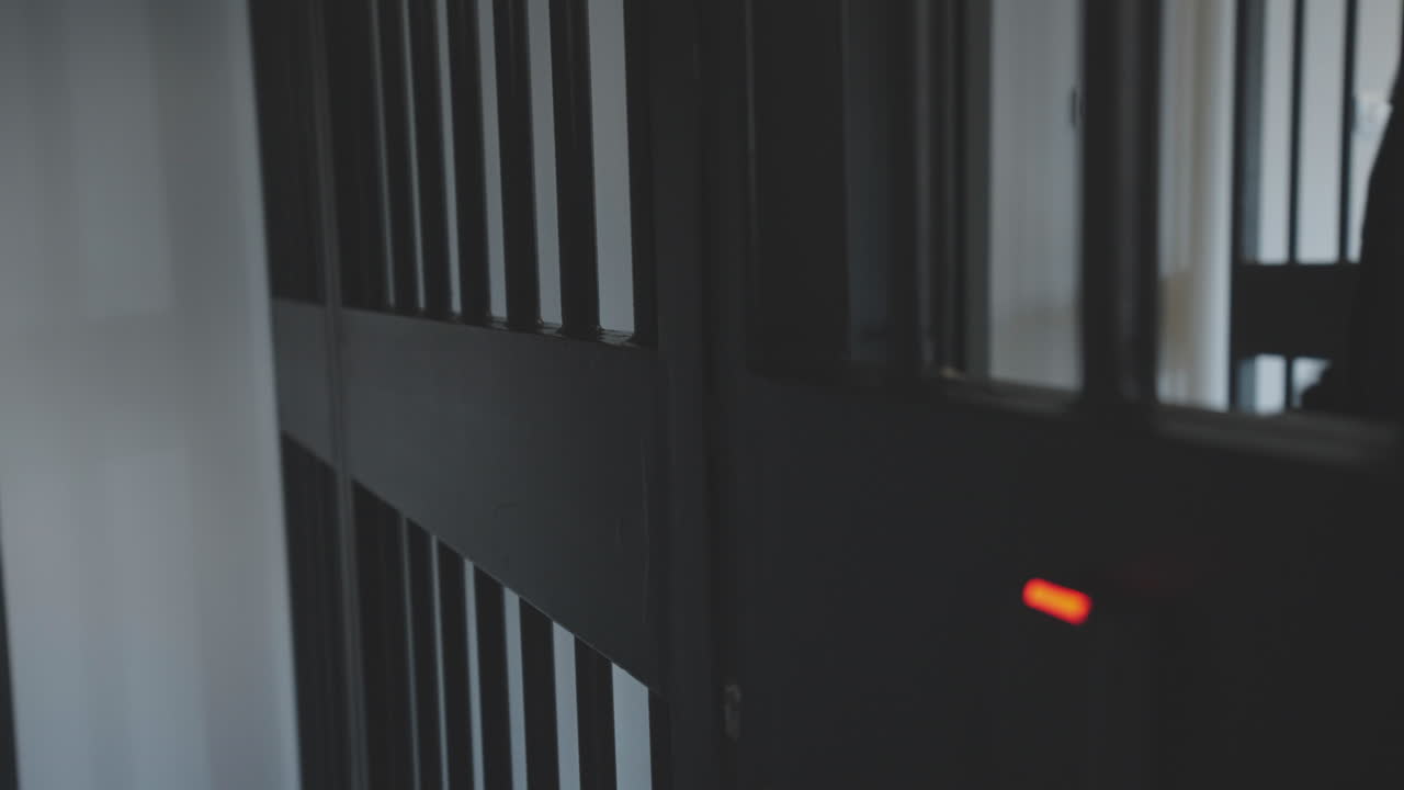 Prison Security Gate