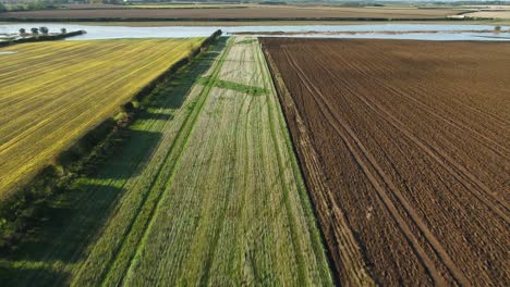 Imágenes-Aéreas-De-Drones-Sobrevolando-Campos-Cosechados-De-Agricultores-Multicolores,-Setos-Y-Un-Campo-Inundado-En-North-Yorkshire,-Reino-Unido,-En-Una-Hermosa-Y-Soleada-Mañana-De-Otoño