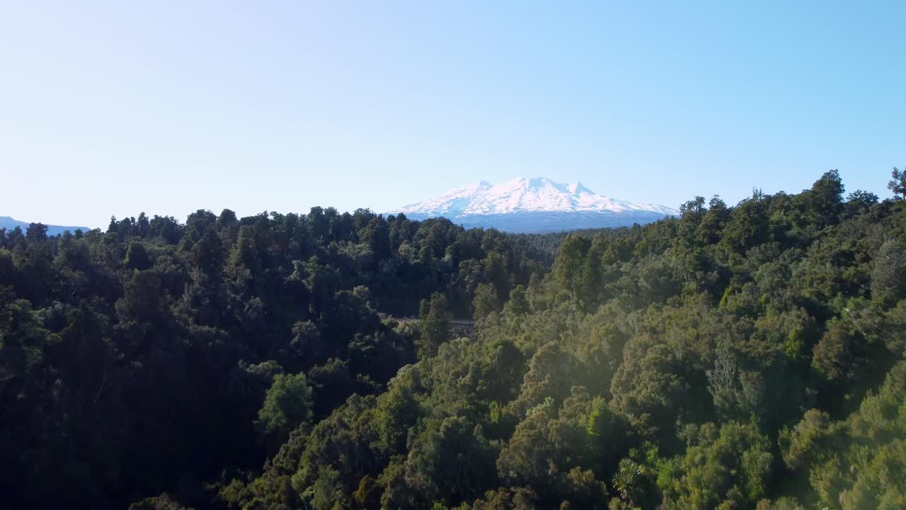 ascendiendo desde un bosque para revelar el monte ruapehu, el parque nacional tongariro, nueva zelanda