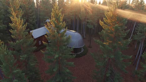 warm sunlight illuminating a peaceful forest retreat nestled among towering pine trees, creating a serene and tranquil atmosphere as the sun sets, casting beautiful golden hues across the landscape