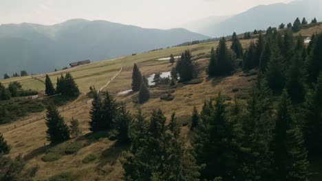 FPV-drone-glides-above-treetops-and-moves-down-above-a-pond-near-the-village-of-Luzen,-Italy